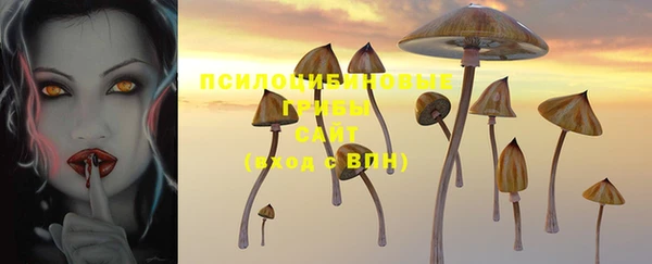 первитин Белоозёрский