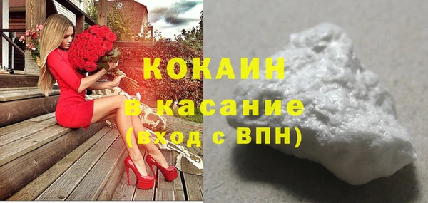 тгк Бородино