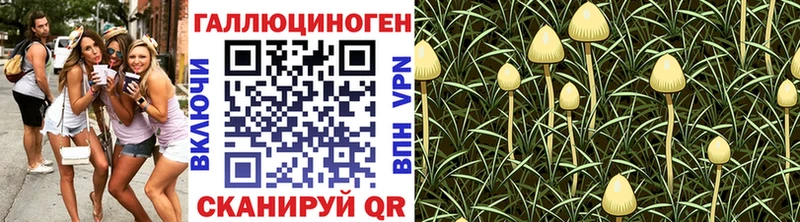 наркошоп  Беслан  Псилоцибиновые грибы MAGIC MUSHROOMS 
